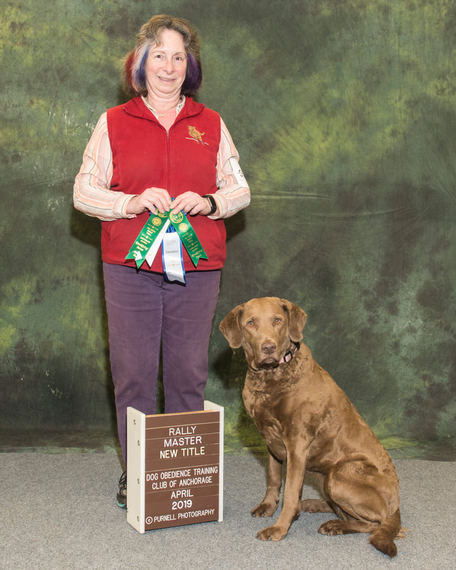 Obedience training club of hot sale chugiak