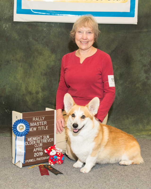 Obedience training clearance club of chugiak