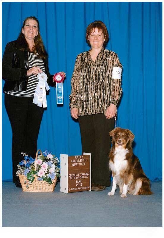 Obedience training club of chugiak hotsell